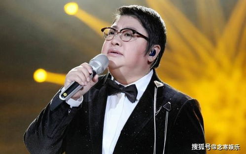 韩红接受采访神情认真