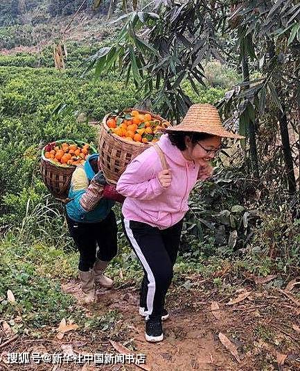 广西村民采菌被蛇咬身亡？官方辟谣：又是网络谣言！