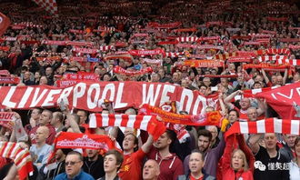 球迷在看台挥舞旗帜助威