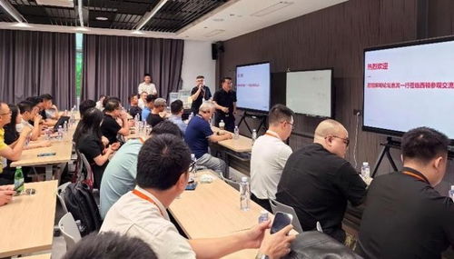 外交官们在会议室内进行闭门会谈