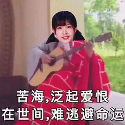 粉丝为赵昭仪制作的表情包