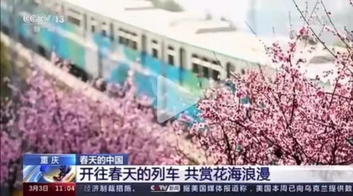 新闻直播间画面截图