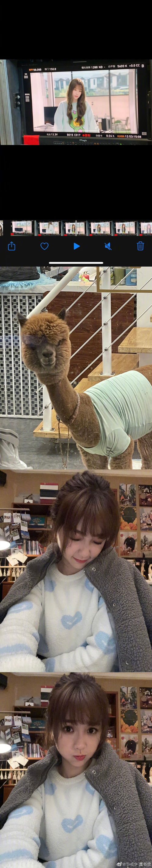 虞书欣在片场认真工作的照片