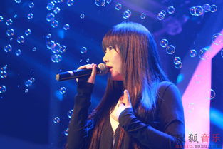 白鹿临江仙值得？热搜背后的真实故事与深度解读