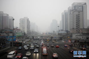 从“善护呼吸”热搜看我如何守护家人健康：一个普通人的肺腑之言