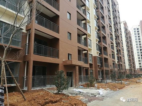 社区设立临时安置点