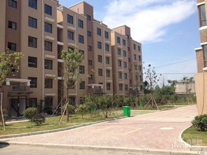 浙音第一质疑网红歌手？真相背后竟藏着这些内幕！