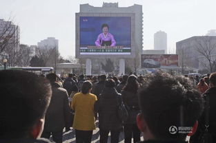 人们在街头观看新闻报道