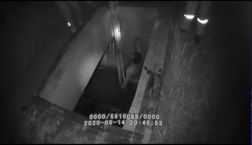 男子查看父亲节信息