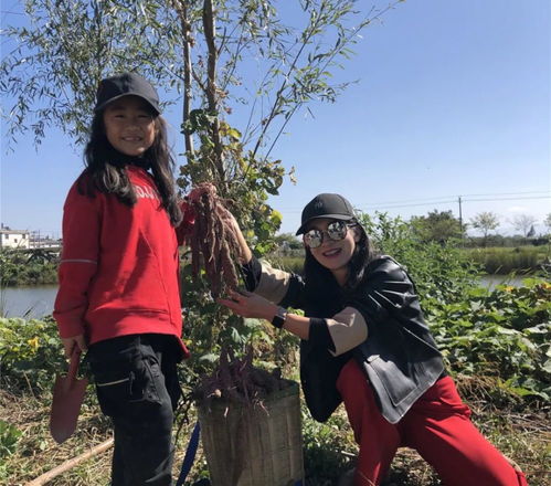 父亲和孩子一起翻看相册