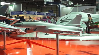 歼-10CE战机静态展示图