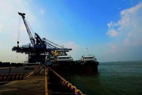 广州南沙港区疑似出现水龙卷，我亲眼见证全过程！