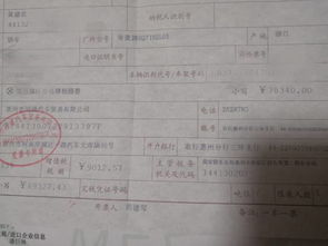 Labubu手持购车发票自拍