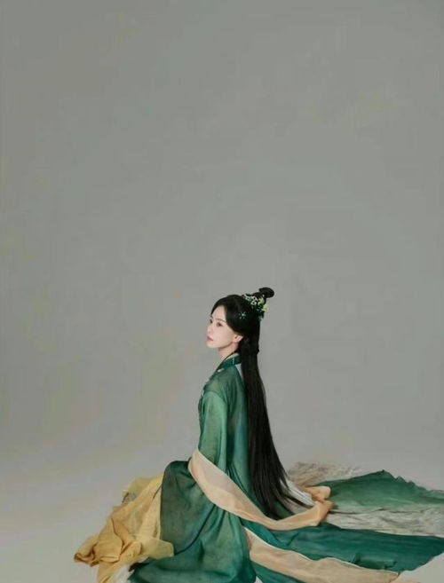 《水龙吟》古装造型剧照