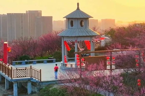 乡村生态旅游与非遗体验结合的场景