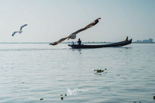 伊洛瓦底江蜿蜒流淌