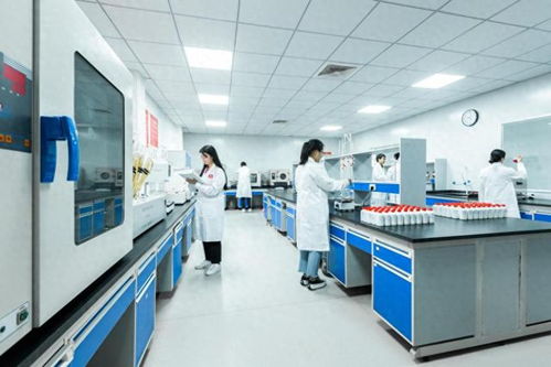 现代化白酒生产车间内景展示智能化设备运作