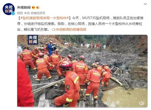 救援人员在坠机现场搜救图片