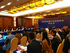 卢纳在成都参加座谈会