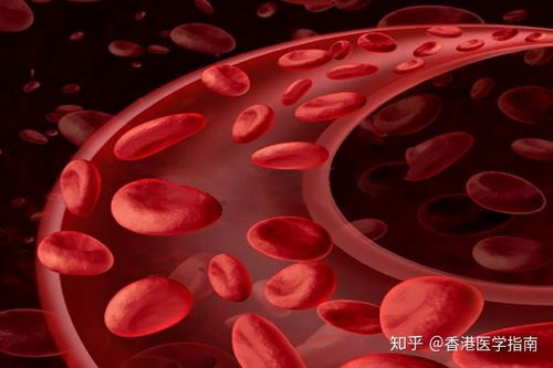 肝癌治疗迎来‘精准核武器’！钇-90微球疗法改写晚期患者命运