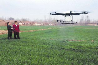 年轻人操作无人机进行农业喷洒作业