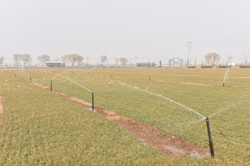 智能灌溉设备特写