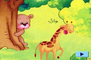 小熊在草地上玩耍