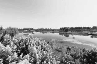 夏天怎么可以不去露营？我的第一次户外之旅全记录