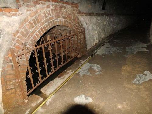 现实版《寄生虫》？隔壁租客挖洞占用我家客厅5年，我竟然毫无察觉！