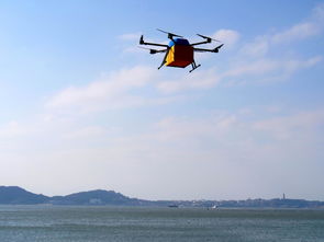 一群无人机在黄昏时分飞行