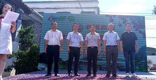 《长安的荔枝》'奋荔一搏'完整版海报