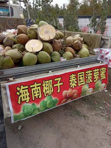 荔枝价格暴跌七成，从贵族水果到街头平价果？我亲测市场真相！