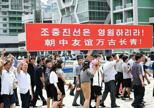 馆长在机场被民众热烈欢迎