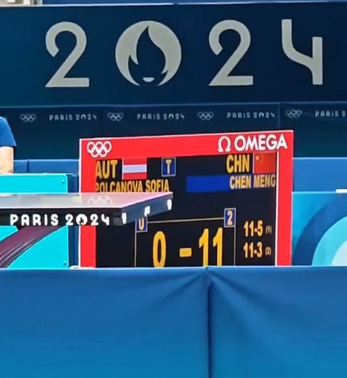 球迷为陈梦欢呼