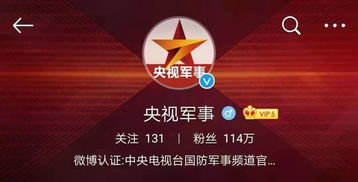 军事专家在电视节目中解读局势