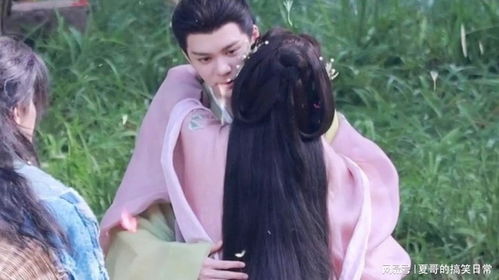 白鹿与曾舜晞、梁永棋后台互动