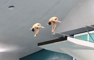 跳水比赛现场观众热情高涨