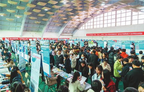 高校招聘会现场人头攒动