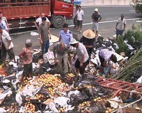 农户土豆遭哄抢，直播带货惹争议？真实背后谁在受伤