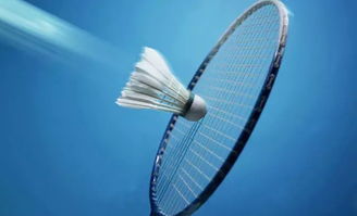 中产为何打不起羽毛球？日本品牌VICTOR却靠它狂赚69亿