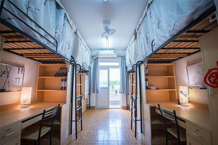 现代化学生宿舍样板间展示