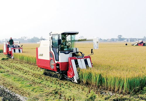 黑龙江七星农场智能灌排系统运作中