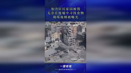 加沙难民在废墟中寻找食物