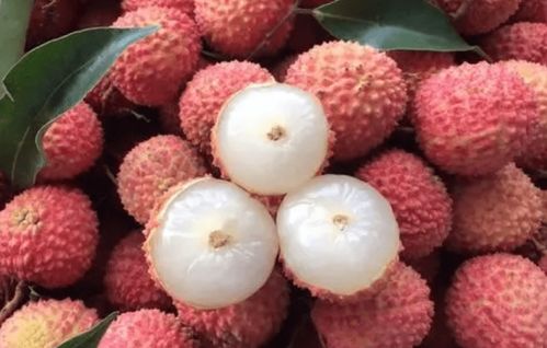 挑选荔枝时观察果蒂颜色和果皮状态