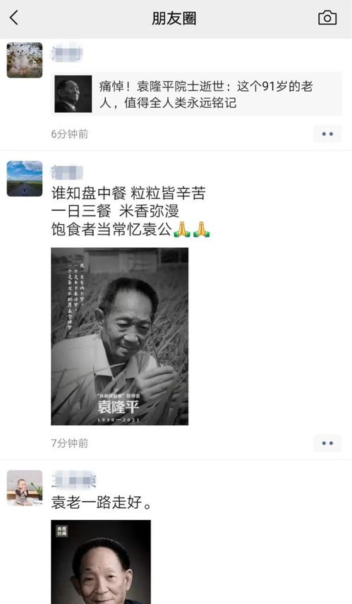 网友悼念陈彼得