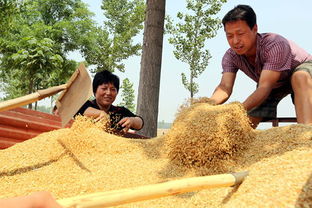 河南省滑县智能农机进行麦田作业