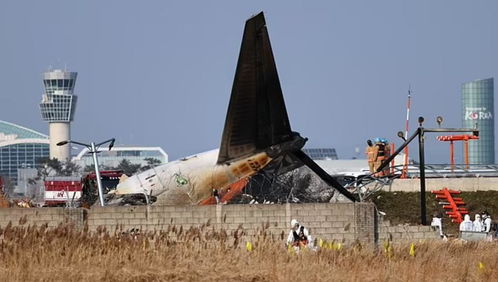 专家分析飞机坠毁原因