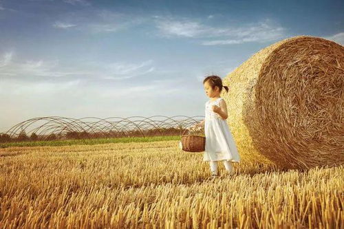 一位年轻人在麦田中拍摄短视频