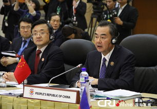 王毅外长在会议中发言的照片