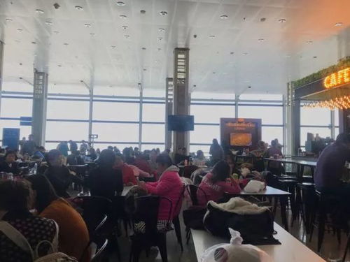 中国驻伊朗使馆工作人员协助撤离中国公民